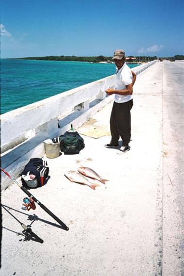 Die Strände auf Cayo Coco,_UW 05_16_B720